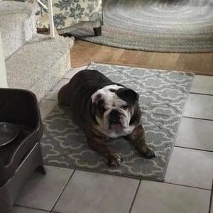 Meet your Posher, Anne